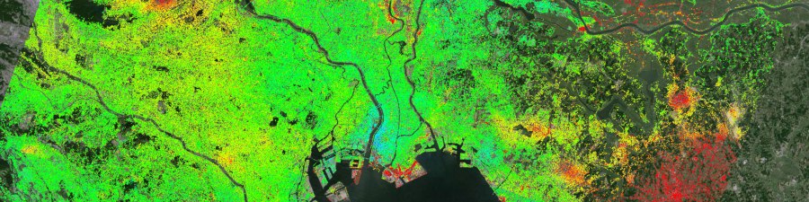 InSAR Data Points over an Urban Environment